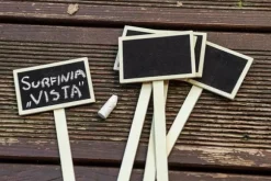 Plantebrætter 5 stk. - T 15G460
