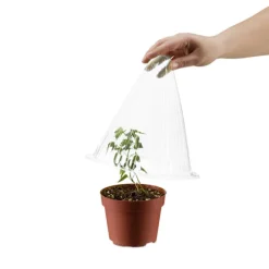 Plantehat 24 stk