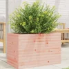 Plantekasse i massivt douglasgran - Stabil og dekorativ | Størrelse: 70x40x45,5 cm
