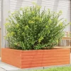 Plantekasse i massivt fyrretræ - 80x80x23 cm | Farve: Gyldenbrun