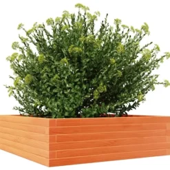 Plantekasse i massivt fyrretræ - 80x80x23 cm | Farve: Gyldenbrun