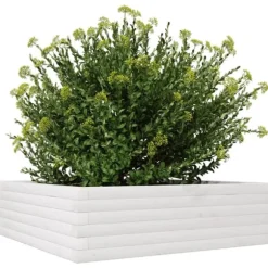 Plantekasse i massivt fyrretræ - Rustik og robust | Størrelse: 80x80x23 cm | Farve: Hvid