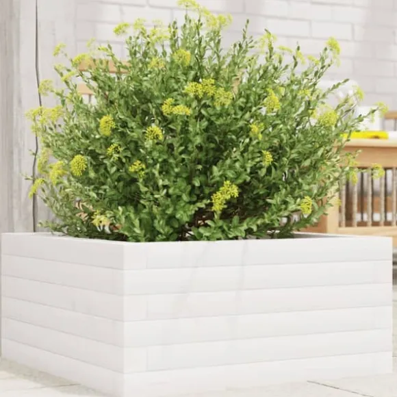 Plantekasse i massivt fyrretræ - Dybde: 50x50x23 cm | Farve: Hvid