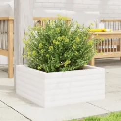 Plantekasse i massivt fyrretræ - Dybde: 50x50x23 cm | Farve: Hvid