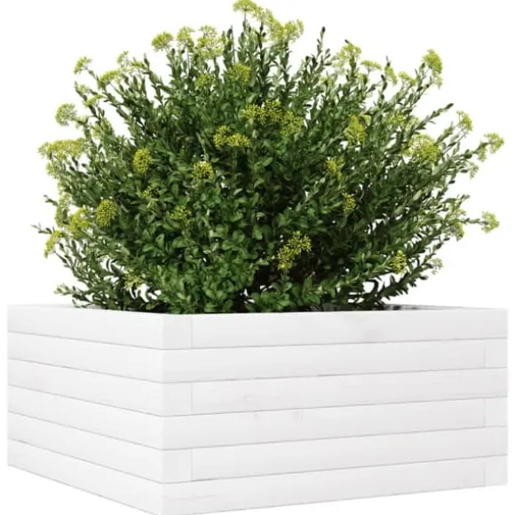 Plantekasse i massivt fyrretræ - Dybde: 50x50x23 cm | Farve: Hvid