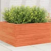 Plantekasse i massivt fyrretræ - 90x90x46 cm | Farve: Gyldenbrun