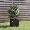 Plantekasse i massivt fyrretræ - Blomsterkasse | Størrelse: 31x31x31 cm | Farve: Sort