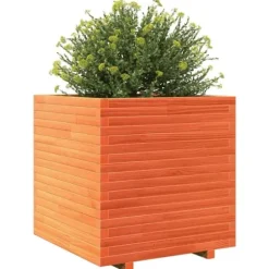 Plantekasse i massivt fyrretræ - Dekorativ til have og terrasse | Størrelse: 70x70x72 cm | Farve: Gyldenbrun