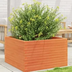 Plantekasse i massivt fyrretræ - Robuste blomsterkasser | Størrelse: 80x80x46 cm | Farve: Gyldenbrun