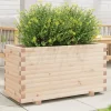 Plantekasse i massivt fyrretræ - Robust design til blomster | Størrelse: 90x40x49,5 cm