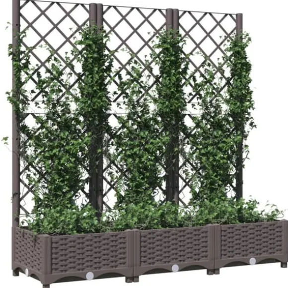 Plantekasse med espalier - Velegnet til udendørs brug | Størrelse: 120x40x121,5 cm | Farve: Brun