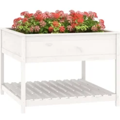 Plantekasse med hylde - Højbede i massivt fyrretræ | Størrelse: 111,5x111,5x81 cm | Farve: Hvid