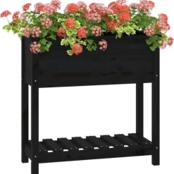 Plantekasse med hylde i massivt fyrretræ - Ergonomisk design | Størrelse: 82,5x34,5x81 cm | Farve: Sort