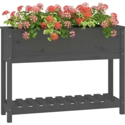 Plantekasse med hylde i massivt fyrretræ - Ergonomisk højbed | Størrelse: 111,5x34,5x81 cm | Farve: Grå