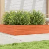 Plantekasse 100x100 cm - Massivt fyrretræ | Farve: Gyldenbrun | Størrelse: 100x100x23 cm