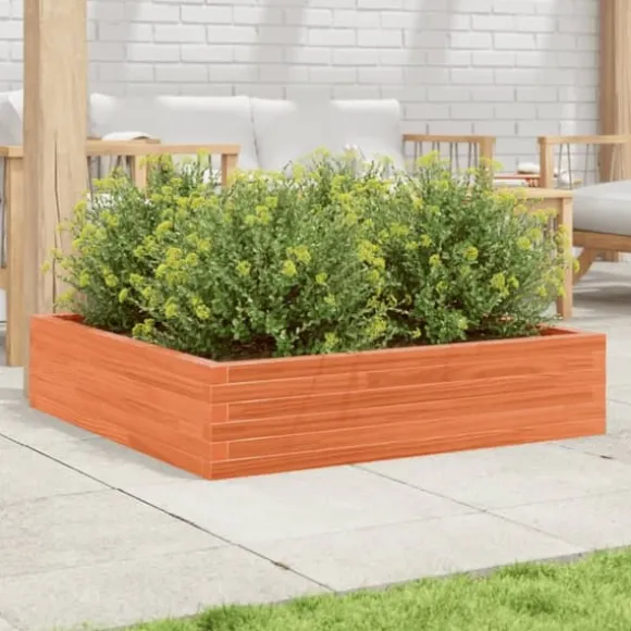 Plantekasse 100x100 cm - Massivt fyrretræ | Farve: Gyldenbrun | Størrelse: 100x100x23 cm