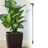 Plantestativ - Støtte til planter/blomster i jord - 17 cm