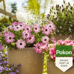 Pokon flydende gødning til terrasse- og altanplanter – 500 ml