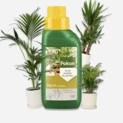 Pokon flydende plantefoder - palmer - 250ml