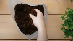 Pokon pottemuld Kompakt - Kokosjord - Hus og have - 10 liter