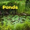 Ponds