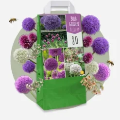 Prydløg - Sæt med 160 - Allium - Blomsterløg - Flerfarvet
