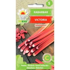 Rabarber Victoria frø - Produktiv og smagfuld flerårig sort