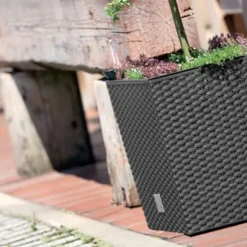 RATO LAV DRTS170L urtepotte - antracit