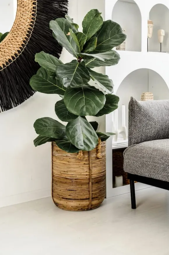 RATTAN KURV AZURE S