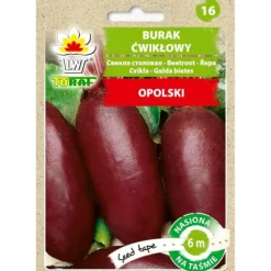 Rødbede aflang OPOLSKI (6m tape)