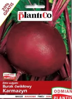 Rødbeder 12 g. PlantiCo frø