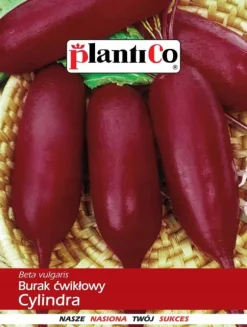 Rødbeder CYLINDRA 10 g PlantiCo frø