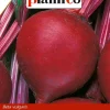 Rødbeder RED BALL 12 g PlantiCo frø