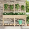 Rektangulær havekasse med espalier og hylde - Holdbart fyrretræ | Farve: Beige | Størrelse: 161x46x152.5 cm