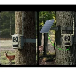 Reolink, 4K 4G Cellular Trail Camera med Live Streaming, Talon Series S130