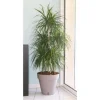 RIVIERA Loft Urtepotte med Vandreservoir - Rund - Ø 50 x H 46 cm - Taupe