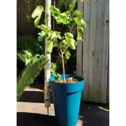 RIVIERA SOLEILLA blomsterkasse - Plastik - Højde 53 cm - Blå