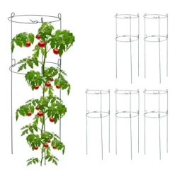 Robust rundt espalier i sæt med 6