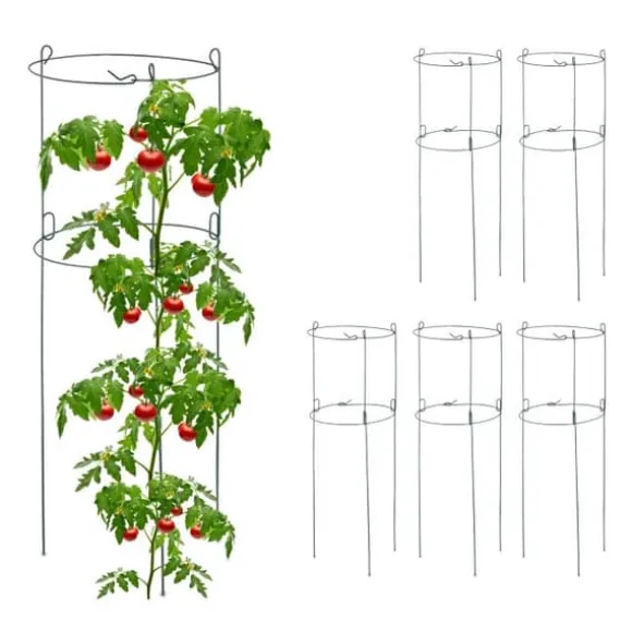 Robust rundt espalier i sæt med 6