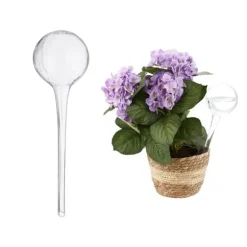 Robust vandkandesæt med 2 glas