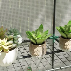 Rootz Mini -Greenhouse - Plant Shelter - Bærbart drivhus - UV -resistent - 144 x 48 x 152 cm - Perfekt til små haver