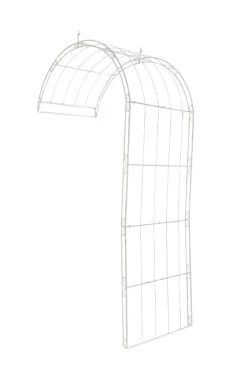 Rose bue Pietro 130x80x270 40 x 130 x 260 cm
