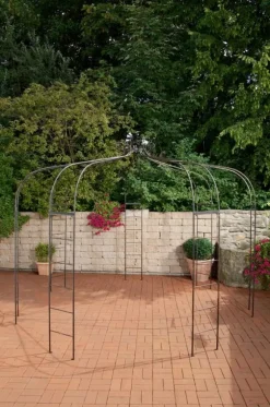 Rosenbue Florentina 340 x 340 x 270 cm