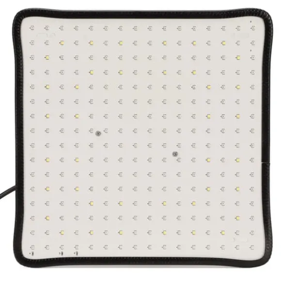 Scientific Control LED Grow Light 1000W til drivhus, lav varme, plantedyrkningslampe, AU-stik