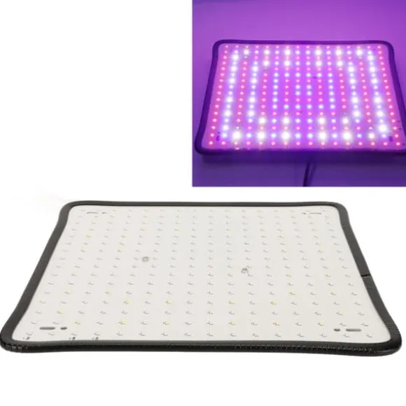 Scientific Control LED Grow Light 1000W til drivhus, lav varme, plantedyrkningslampe, AU-stik