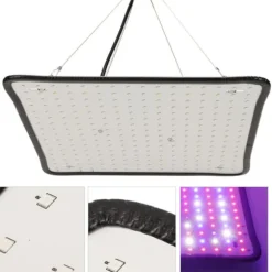Scientific Control LED Grow Light 1000W til drivhus, lav varme, plantedyrkningslampe, AU-stik
