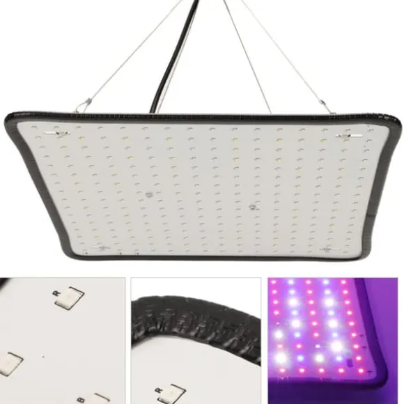 Scientific Control LED Grow Light 1000W til drivhus, lav varme, plantedyrkningslampe, AU-stik