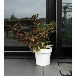 Self-watering flowerpot Garden ID White