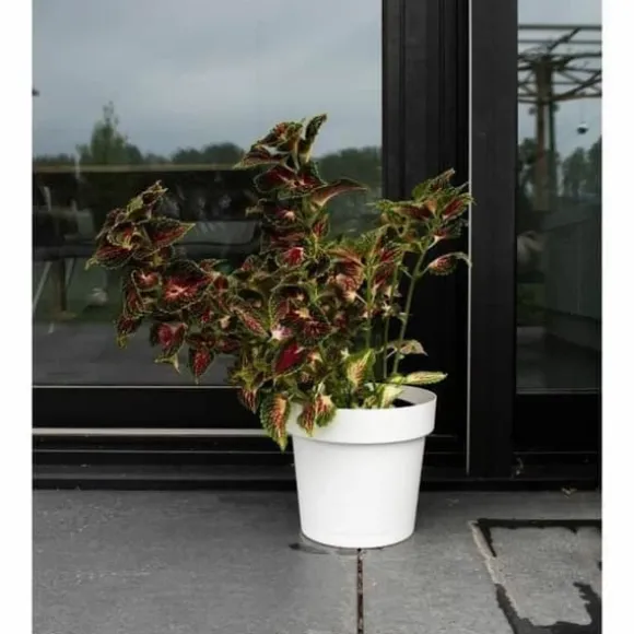 Self-watering flowerpot Garden ID White