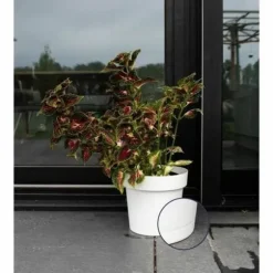Self-watering flowerpot Garden ID White